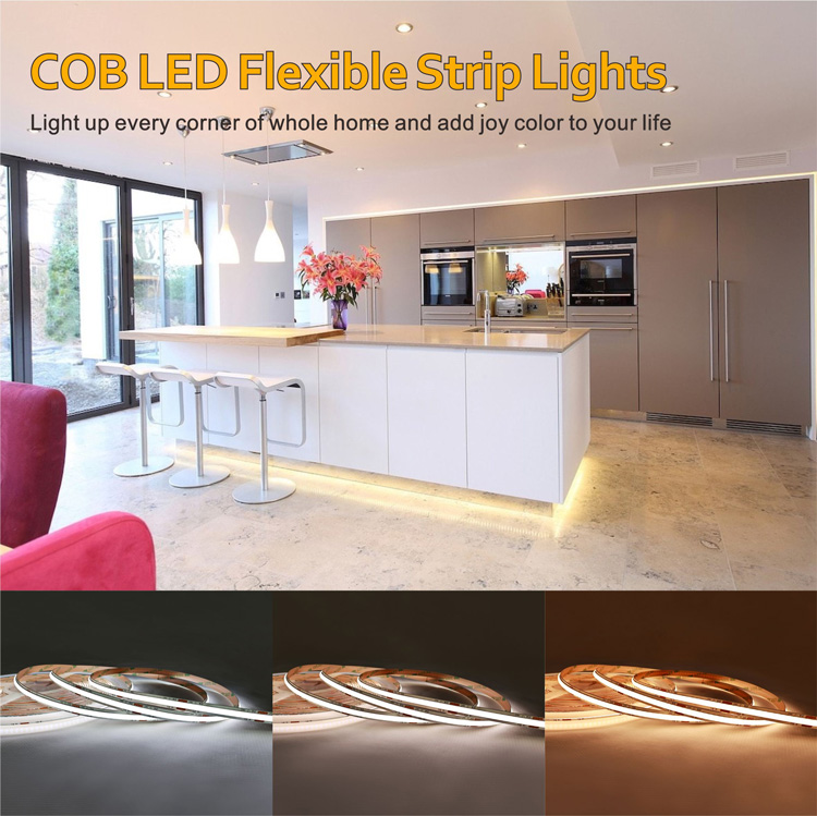 Bicolor Led Strip 24v